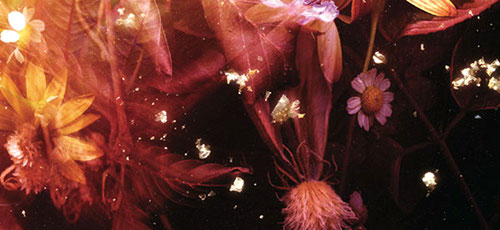 Brownswood Electr*c 2