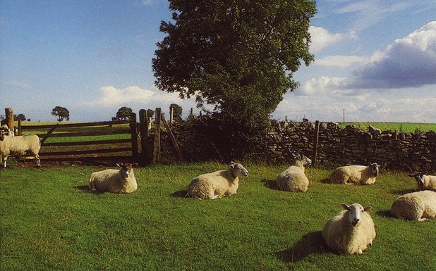 20 best: Ambient records ever made