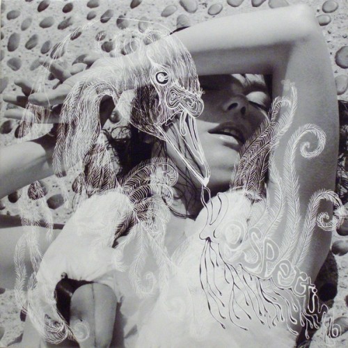 bjorkart-vespertine