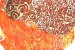 Can: <i>Tago Mago</i> reissue, <i>Lost Tapes</i>, 14 LP vinyl box set and more announced