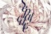 Sepalcure – ‘See Me Feel Me’