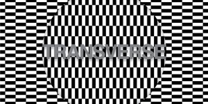 Carter Tutti Void – ‘V3′