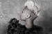 emeli-sande-Our-Version-Of-Events-2.6.12