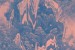 Ital: <i>Hive Mind</i>