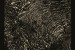 John Talabot: <i>fIN</i>