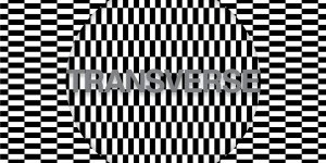Carter Tutti Void: <I>Transverse</i>