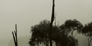 Monolake: <i>Ghosts</i>