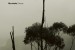 Monolake: <i>Ghosts</i>