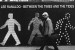 Lee Ranaldo: <i>Between the Times and the Tides</i>