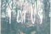 Torus: <I>Torus EP</i>