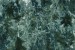 Voices From The Lake: <i>Voices From The Lake</i>