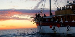 Stop Making Sense announce boat party line-ups for 2012