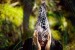 Flying Lotus delays new album <em> Until The Quiet Comes </em> until October