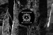 Dominick Fernow launches new label, announces fresh Vatican Shadow 12″