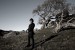 Amon Tobin: boxing clever