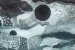 Kranky to issue retrospective of long forgotten shoegazers Dreamscape