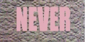 Micachu & The Shapes: <i>Never</I>