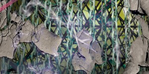 Stream Nguzunguzu’s <em>Warm Pulse</em> in full