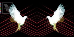 The Warehouse Project announces enormous 2012 line-up