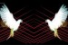 The Warehouse Project announces enormous 2012 line-up
