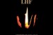 LHF: <I>Keepers of the Light</i>