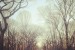 Martin Eden, formerly Eluvium, releases ambient ‘Worker’