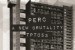 Perc: <i>A New Brutality</i>