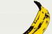 <i>The Velvet Underground & Nico</i> gets six-disc 45th anniversary reissue treatment