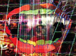 <i>Centipede Hz</i>
