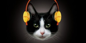 Deadmau5 And Sol Republic auctioning new pair of headphones… for cats
