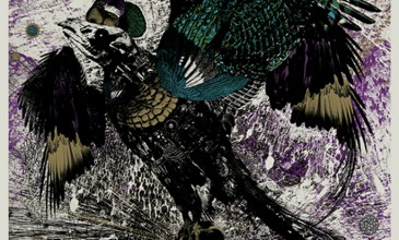 The ever-fascinating Old Apparatus announce new <em>Alfur</em> EP