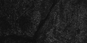 <i>Order of Noise</i>