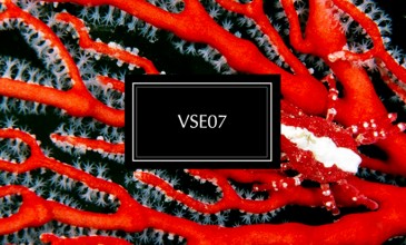 Jacques Greene shares free Vase compilation EP, featuring Ango, Zodiac