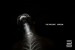 Download <em>Xorcism</em>, the debut EP from Hyperdub’s resident toaster The Spaceape