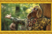 Watch the video for Mr. MFN eXquire’s ‘The Message Pt. 1 & 2′