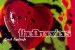 Seminal ’90s group The Breeders reunite with <I>Last Splash</i>-era line-up; 4AD to reissue the album as <i>LSXX</i> next year