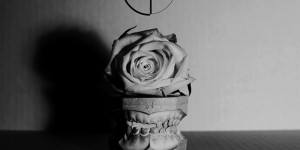 Canadian label Electric Voice recruit Tropic Of Cancer and Thee Majesty for new compilation