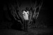 Listen to Nosaj Thing’s ‘Try’, featuring Toro y Moi