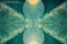 Bonobo and Erykah Badu enter ‘Heaven For A Sinner’