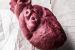 The Flaming Lips release USB compilation hidden in “anatomically accurate” chocolate hearts