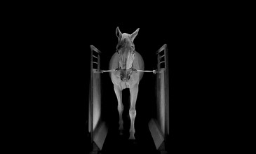 PAN announce album from electronic chamber music ensemble Mohammad
