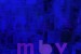 <i>m b v</I>