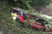 Driver in Baroness bus crash faces criminal charges