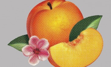 Phoenix share <em>Bankrupt!</em> cover art and tracklisting