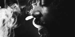 Snoop Lion’s <em>Reincarnated</em> gets cover art and tracklist