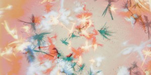 Warp dreamer Bibio announces garden-inspired new album <I>Silver Wilkinson</I>