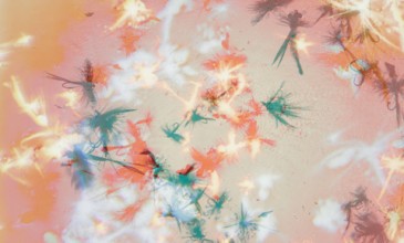 Warp dreamer Bibio announces garden-inspired new album <I>Silver Wilkinson</I>