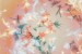 Warp dreamer Bibio announces garden-inspired new album <I>Silver Wilkinson</I>