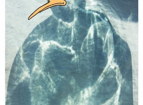 <i>Seabed</i>