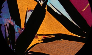 Preview five new releases from Opal Tapes